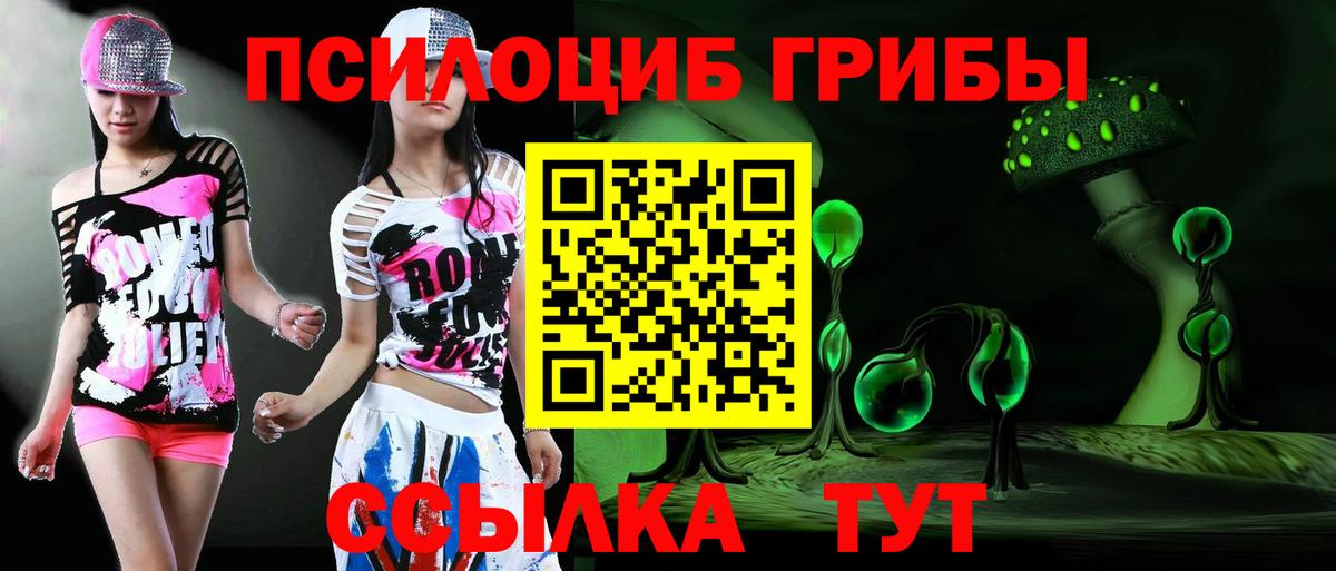 Галлюциногенные грибы Psilocybe Ханты-Мансийск