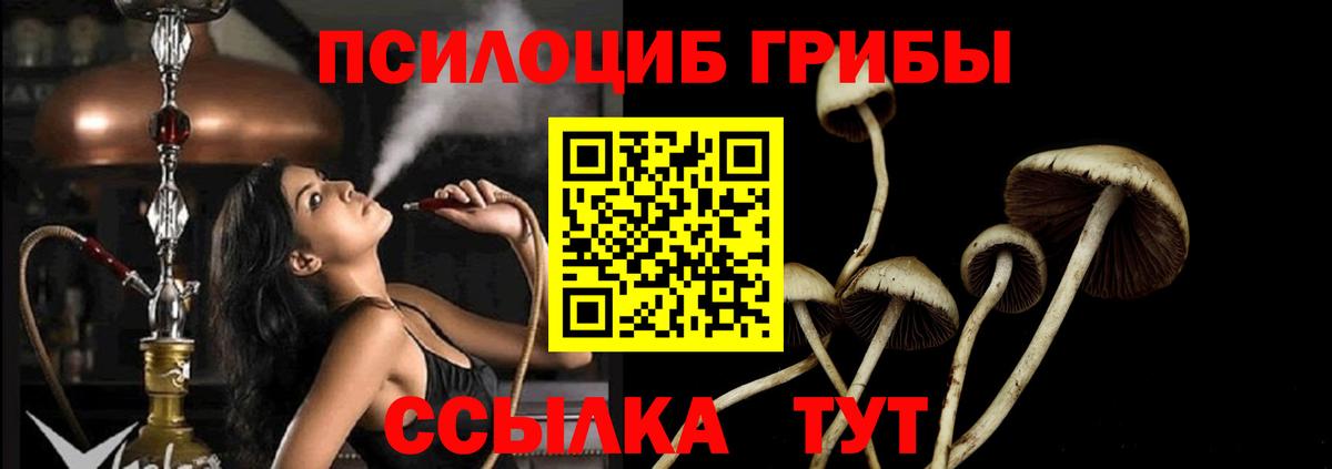 Ханты-Мансийск  Галлюциногенные грибы GOLDEN TEACHER  Галлюциногенные грибы MAGIC MUSHROOMS  Вход с VPN 